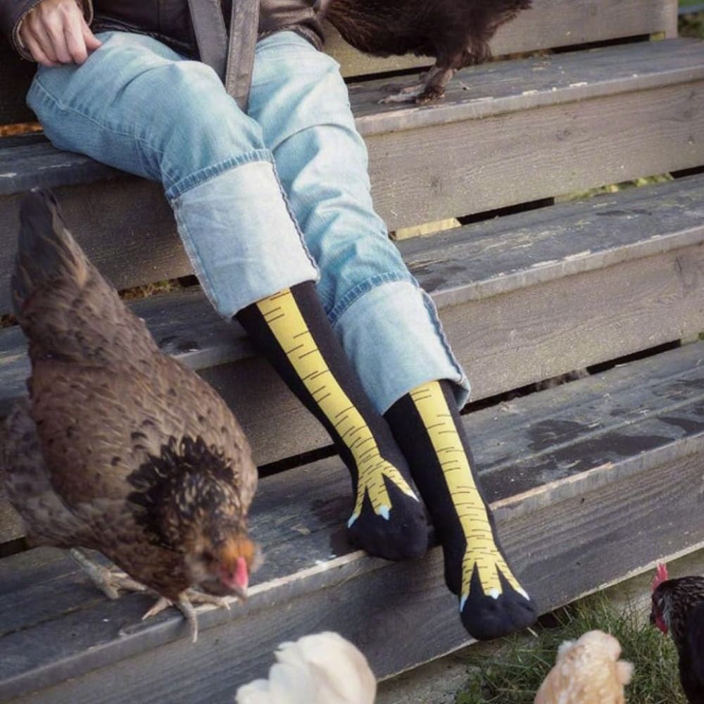 جوارب قدم دجاج قطنية جديدة ، ج - مراجعة Funny Chicken Leg Socks وسعره